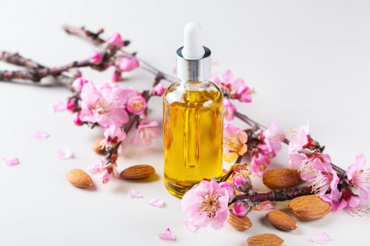 Almond essential oil in a bottles with spring blossom almond tree branches