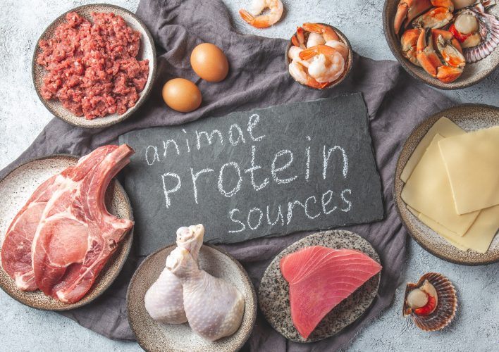 Animal protein sources background