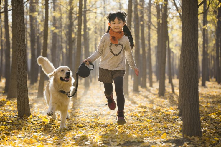 Little girl running with dog in autumn woods