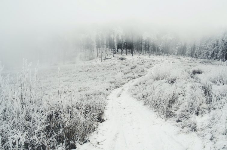 road in nature on misty winter day with snow on the ground and f