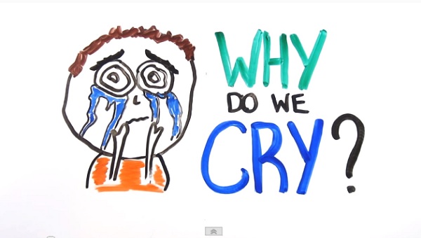 Why do we cry banner