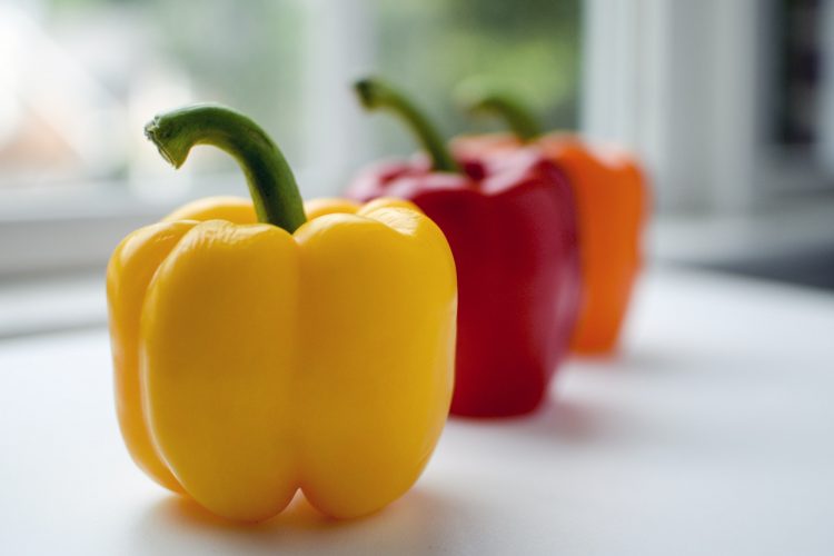 Peppers on a Windowsill