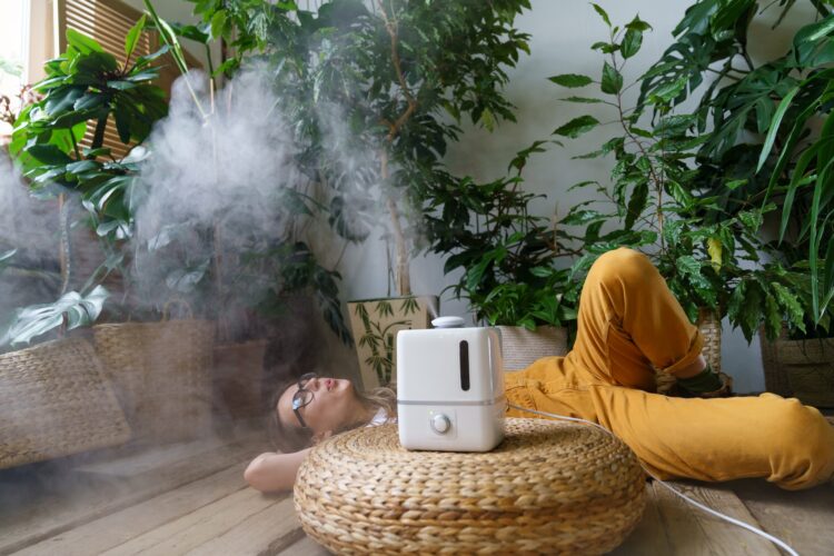 Care for houseplants: using air humidifier at home to keep humidity and indoor plants health concept