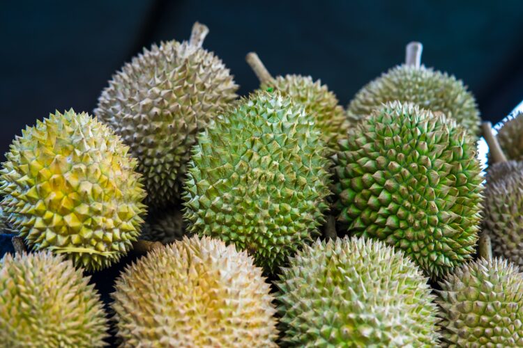 Closeup durian at a Fruit Stall in Malaysia.